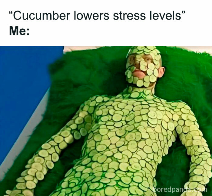 Person covered in cucumber slices, lying on a green fur blanket, showcasing unhinged humorous meme.