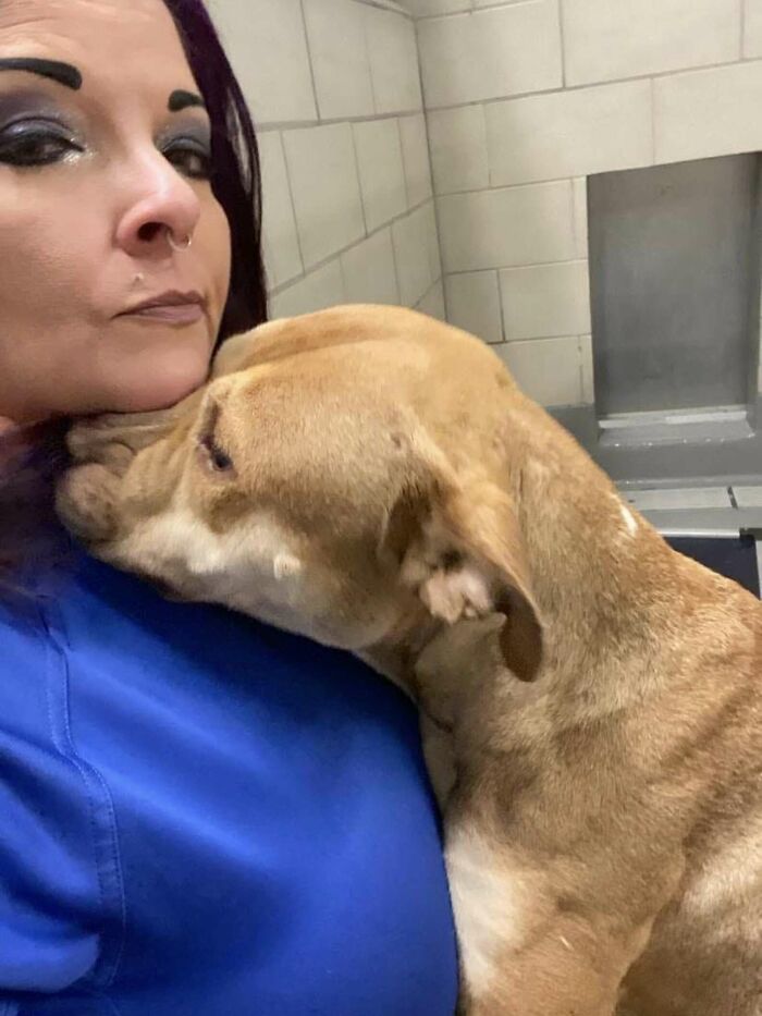 A once desperate shelter dog cuddles with a caregiver, now feeling safe and loved.