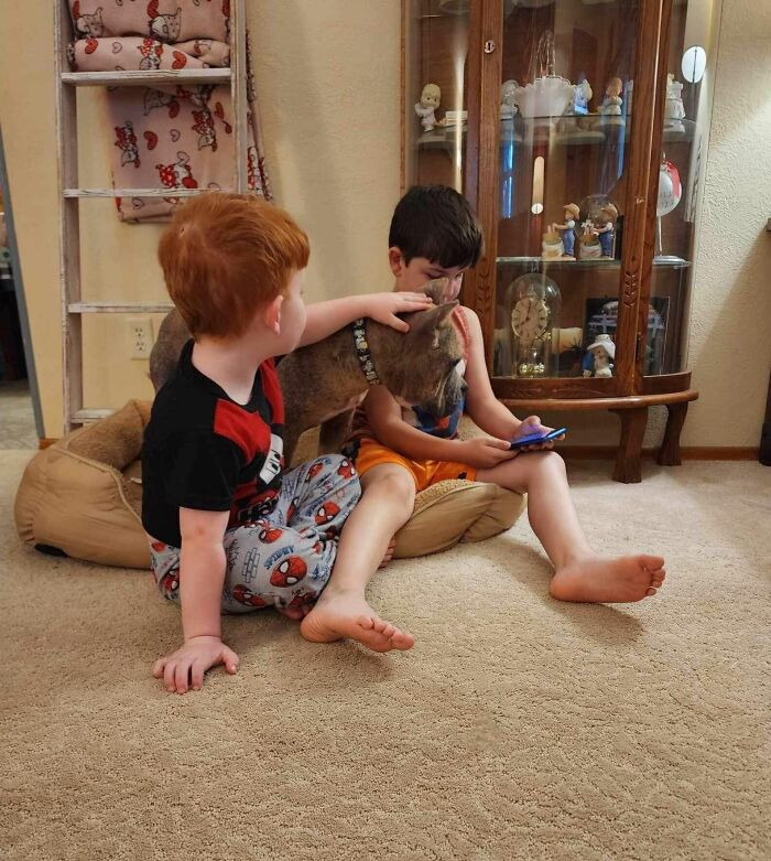 Two children playing with Goulash, a happy dog formerly a stray, in a cozy room setting.