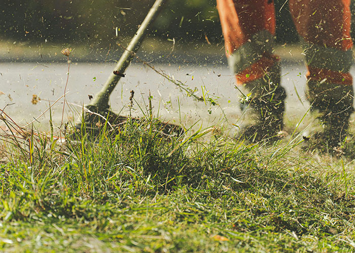 Homeowner using a trimmer on grass, expressing frustration with HOA regulations.