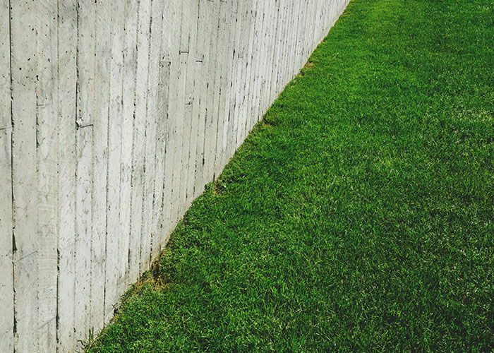 Concrete wall and green grass in a homeowner's yard, symbolizing defiance against HOA rules.