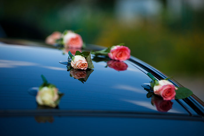 Roses on a car roof, symbolizing a woman's peaceful life disrupted by a stalker from her youth.