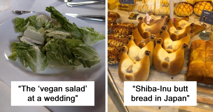 65 Dishes So Stupid, It’s Hard To Believe Someone Actually Came Up With Them (New Pics)