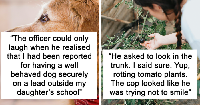 People Share The Weirdest Reasons Police Were Called On Them