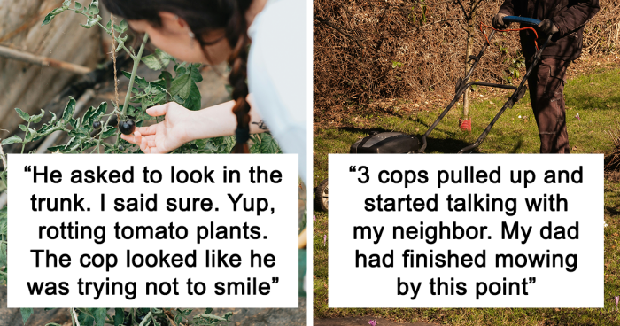 59 People Reveal The Stupidest Reasons Someone Called The Police On Them