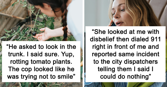 59 Times When People Turned An Absolutely Simple Situation Into A Police Matter