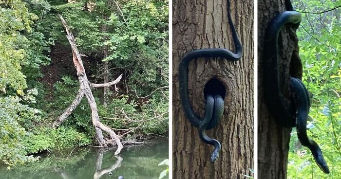 People Are Sharing Pics Of Just How Scary Nature Can Be (New Pics)