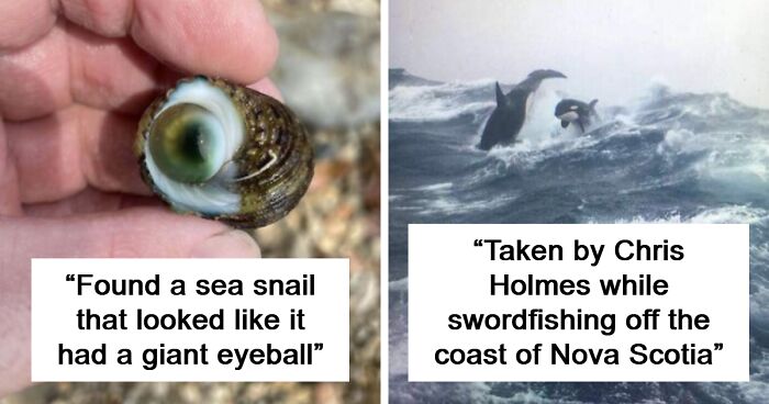 46 Pics That Prove Nature Can Be Both Beautiful And Terrifying (New Pics)