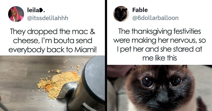 61 Deliciously Funny Tweets About How People Feel About Thanksgiving