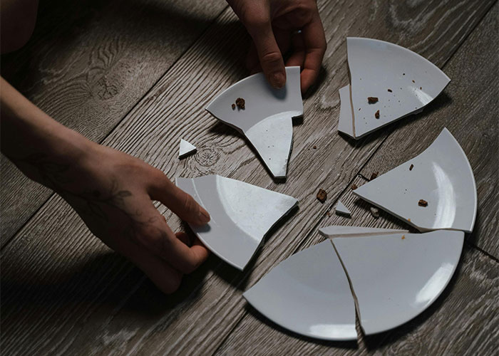 Broken plate pieces on the floor after a Thanksgiving mishap.