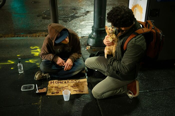 Two people interact on a rainy street; one holds a small dog, another has a sign and cup nearby.