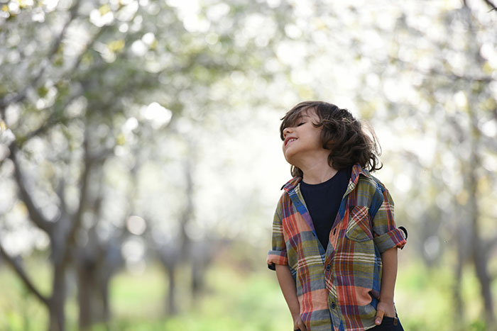 A child in a plaid shirt stands joyfully in a sunlit orchard, illustrating unique rare statistics.