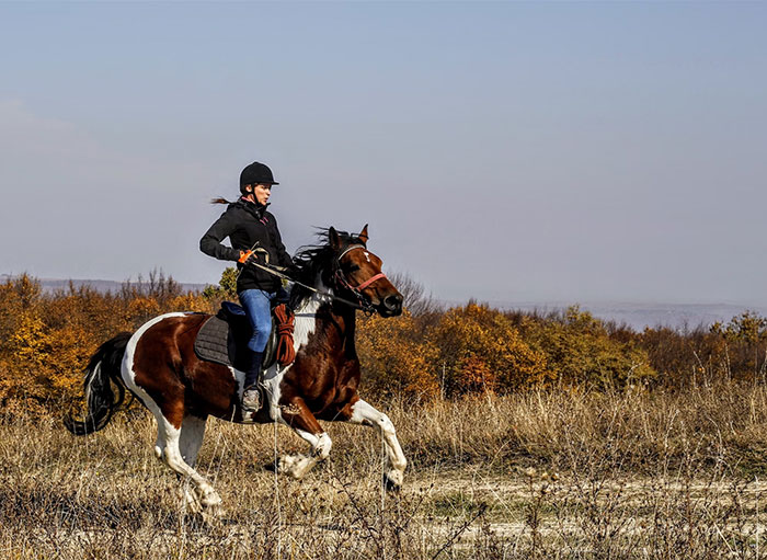 Adult enjoying horseback riding, a childhood dream come true, against an autumn landscape background.