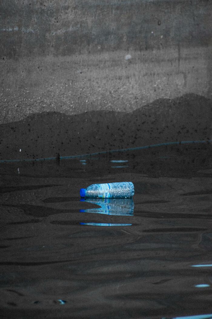 Plastic bottle floating on water, symbolizing things people secretly judge others for.