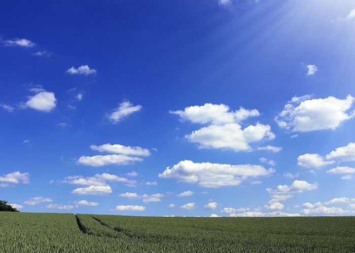 Open field with blue sky and clouds, representing things people want but might be actually terrible.