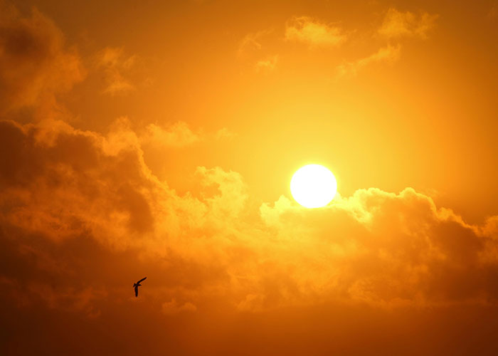 Bright sunset with a bird flying, illustrating how beautiful things can be actually terrible for the environment.