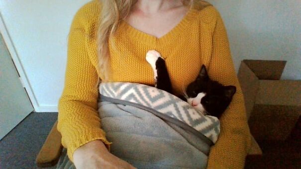 Alt text: "Tucked kitten cozy in a blanket on a person's lap wearing a yellow sweater."