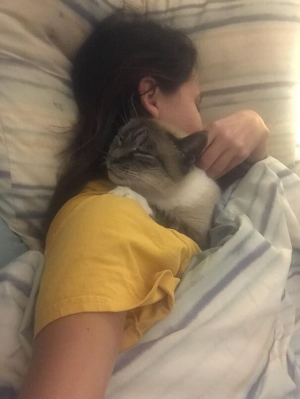 A kitten tucked in bed, snuggled against a person wearing a yellow shirt.