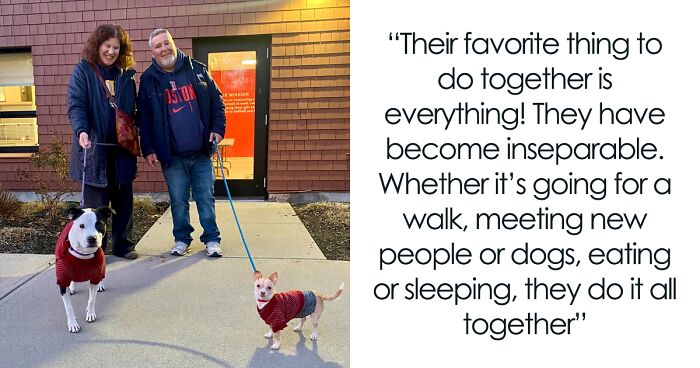 Netizens’ Hearts Melt As 2 Vastly Different Dogs Form The Most Beautiful Bond In A Shelter