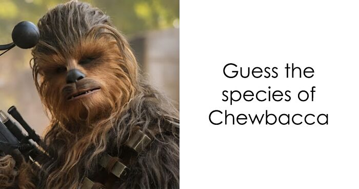 The Ultimate Star Wars Trivia: Ace This Trivia And You Will Be The Number 1 Fan In The World