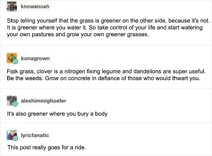 Wholesome online exchange about greener grass, highlighting personal growth and resilience with playful commentary.