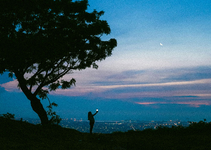 Silhouette of a person holding a phone under a tree at dusk, capturing a view of the city lights and sky.