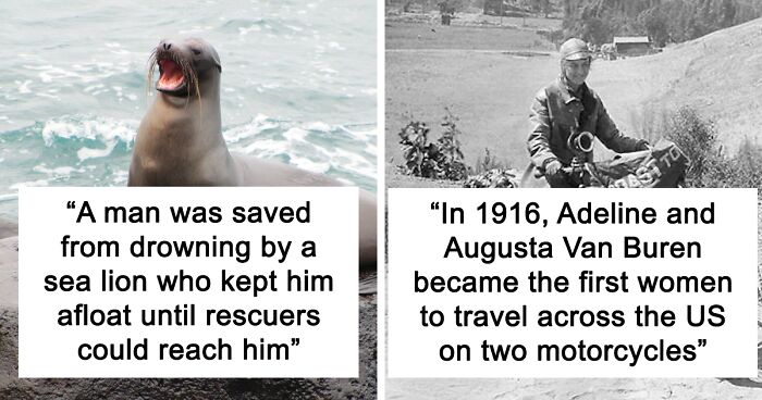 80 “Weird Facts” That You Might Not Have Known Before Today (New Pics)