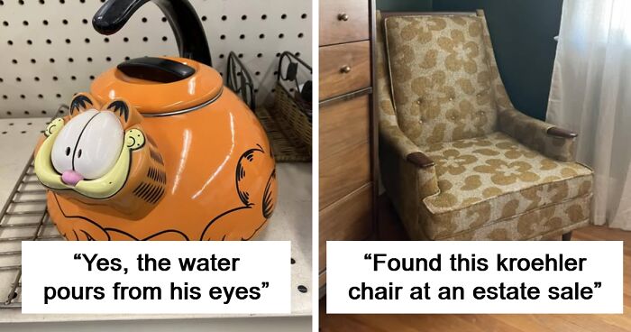 80 Wacky Second-Hand Finds That Could Start A Cult