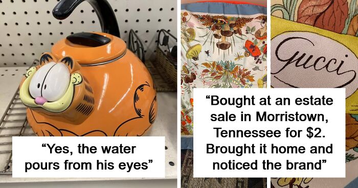 Second-Hand Magic: 80 Unforgettable Items People Scored While Thrifting