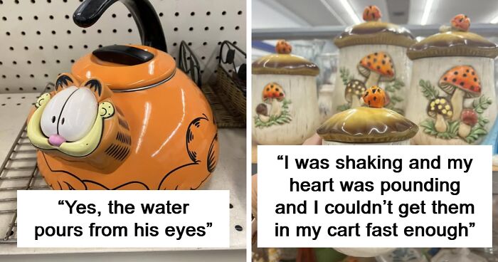 Second-Hand Wonder: 80 Times Bargain Hunting Turned Bizarre In The Best Way