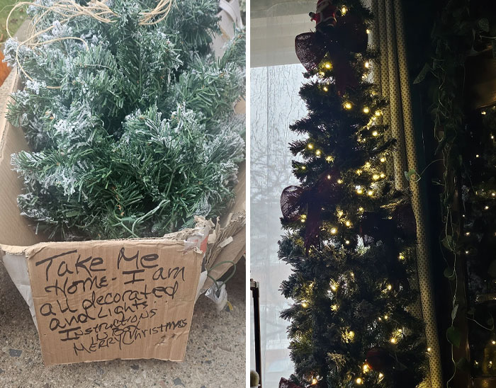 Left: Small Christmas tree with hand-written sign. Right: Indoor Christmas tree with lights.