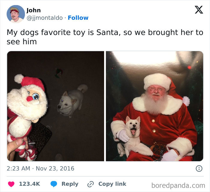 Dog excitedly meets Santa, holding a favorite Santa toy. Wholesome Christmas moment captured in two photos.