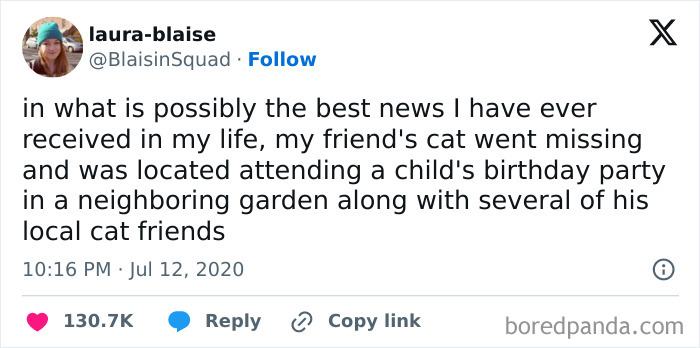 Wholesome tweet about a missing cat found at a child's birthday party with local cat friends.