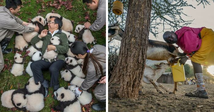 This Photographer Lived In Mud Huts, Wore A Panda Suit, And Changed How We See The World With Her Photos (20 Pics)