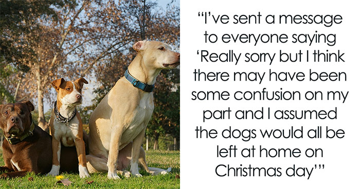 Family Christmas Goes Off The Leash After Host Refuses To Welcome 3 Uninvited Doggos To The Party