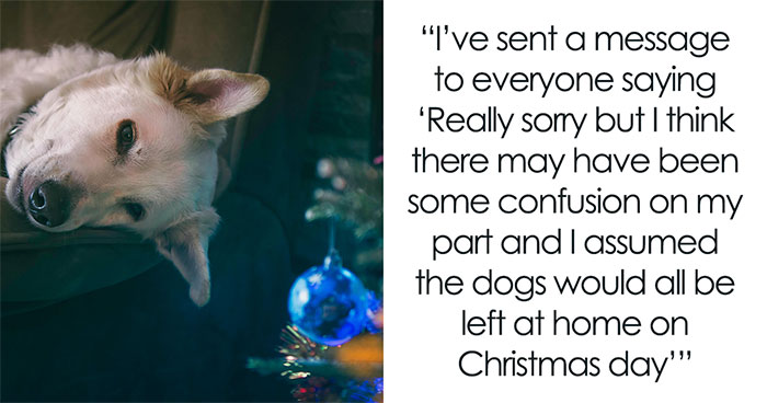 Family’s Uninvited Dogs Appear On The Christmas Dinner Guest List, Host Says They Should Stay Home