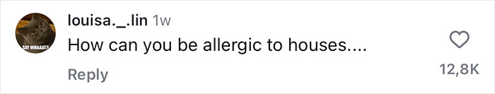 Comment questioning house allergy with 12.8K likes, highlighting Japan work rules.