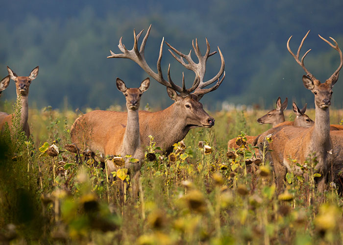 45 People Who Went To Sea Open Up About The Spookiest Things They’ve Seen