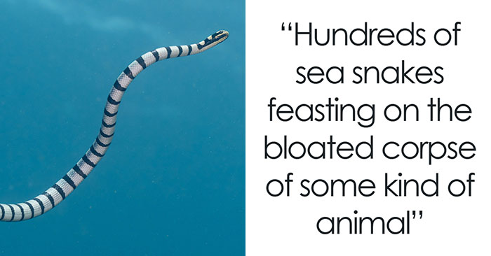 45 People Who Went To Sea Open Up About The Spookiest Things They’ve Seen