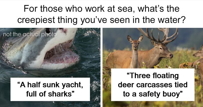 “Jump In”: 45 People Share The Creepiest Things They Saw On The Open Sea