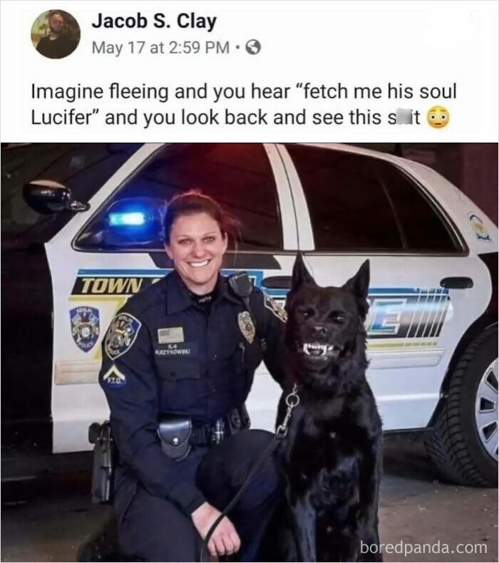 Police officer smiling next to a menacing-looking K9 dog, representing a worst funny fails moment.