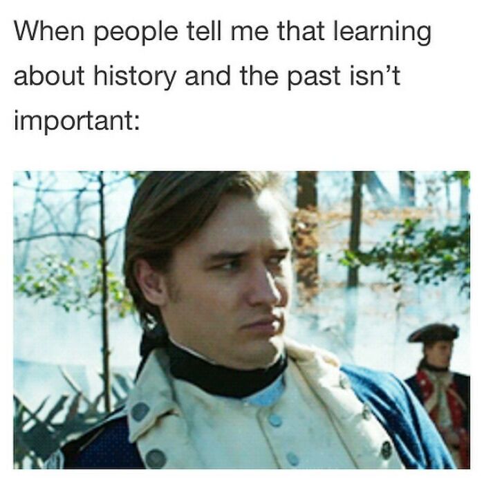 Person dressed in historic military attire with a skeptical expression, humorously conveying a meme about history.