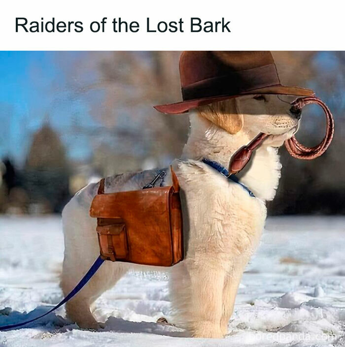 Dog dressed as an adventurer with a hat, whip, and satchel, humorously mimicking an iconic movie character.