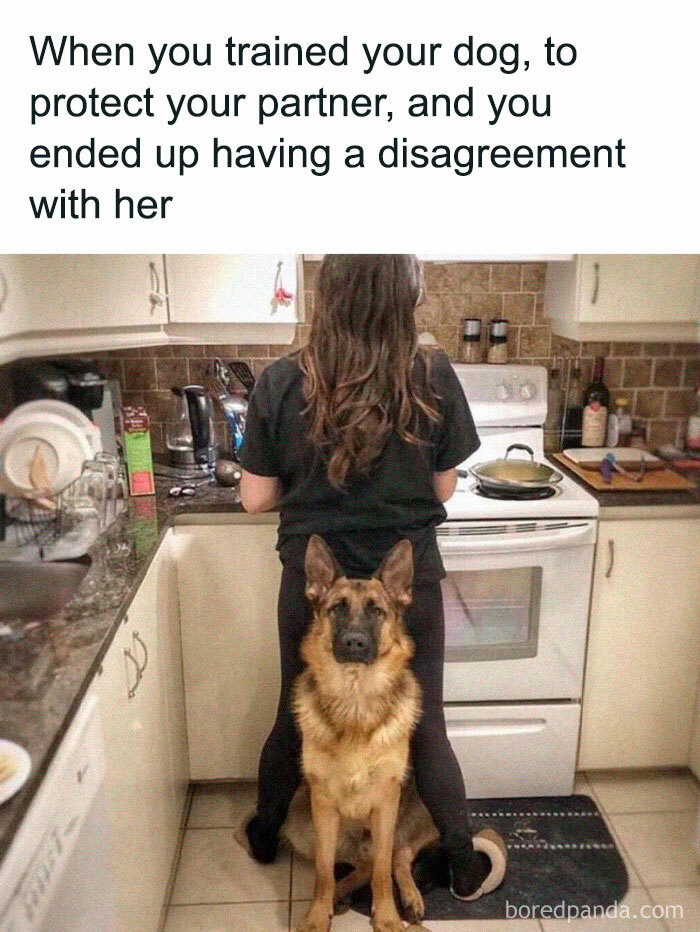 Dog sitting in front of a woman in a kitchen; a humorous and relatable meme for dog owners.