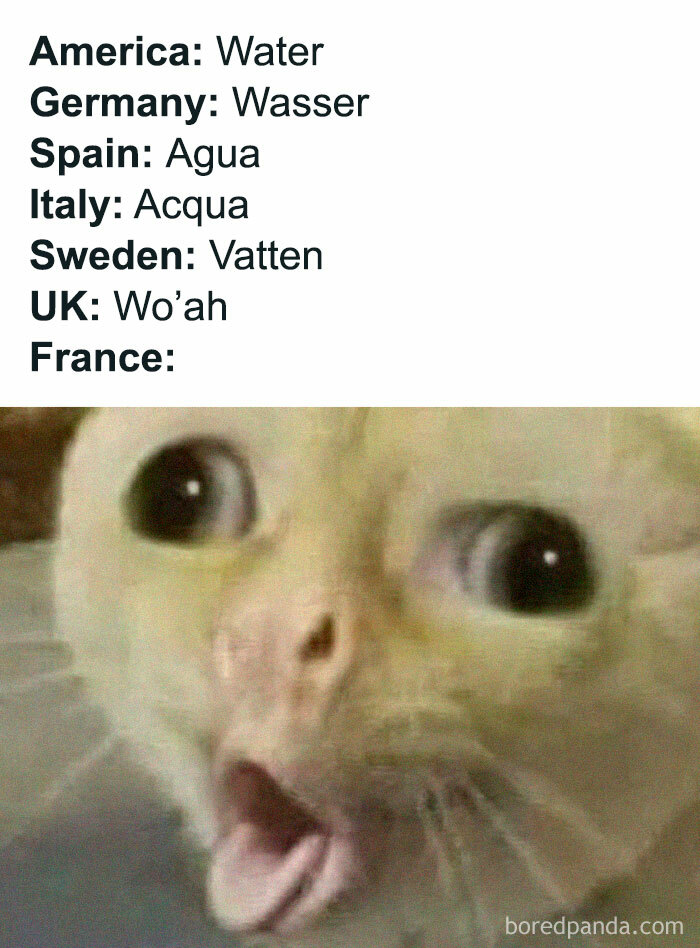 Linguistic meme with translations of "water" and a surprised cat's face, shared by a Facebook page.