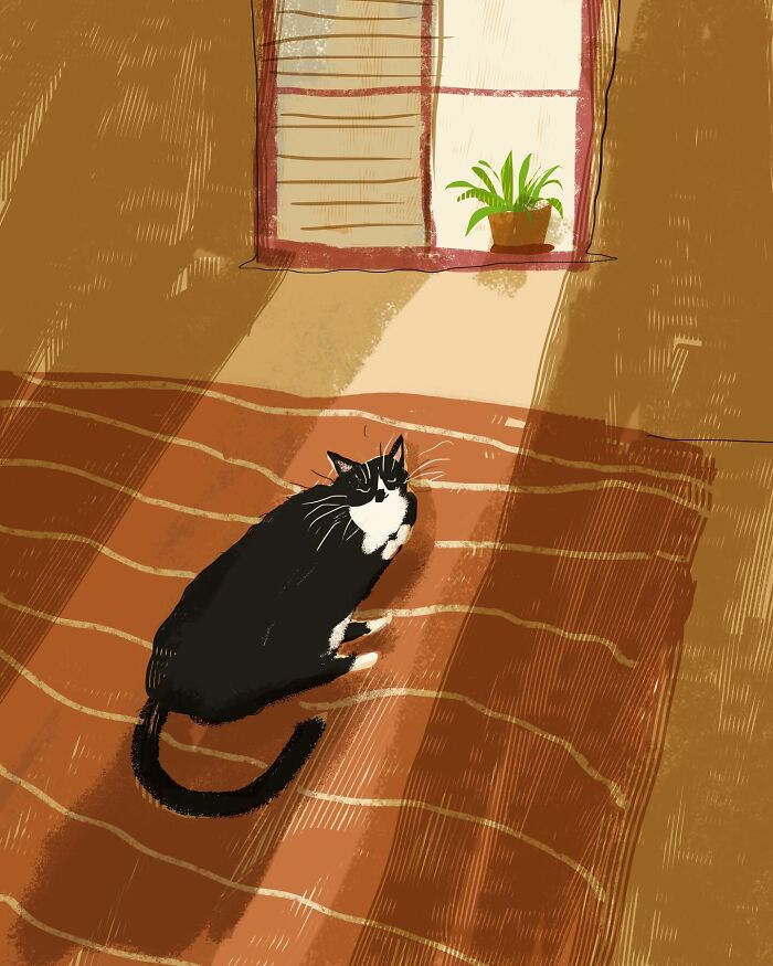 Cozy black and white cat illustration by Jamie Shelman, basking in sunlight near a potted plant. Art for cat lovers.