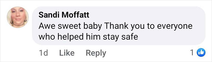 Comment praising efforts to keep the baby gorilla safe at Istanbul Airport.