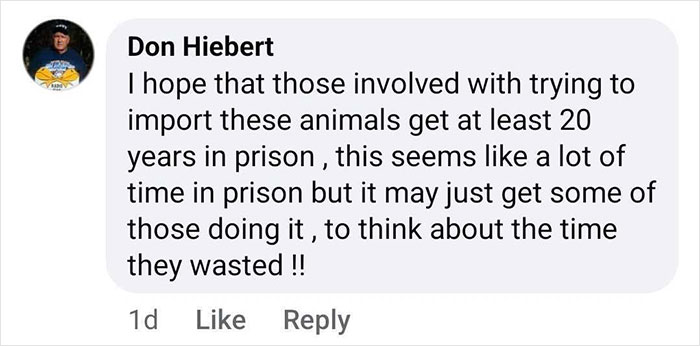 Comment expressing the hope for strict penalties for illegal animal importation related to a rescued baby gorilla.