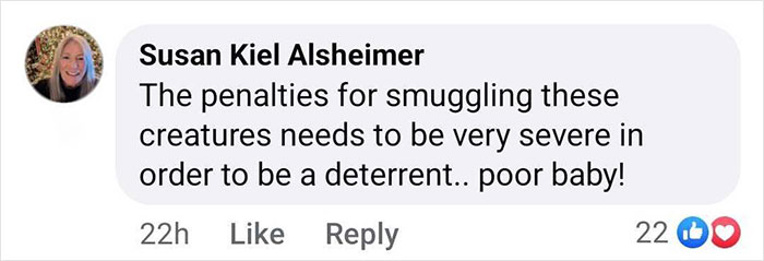 Comment about smuggling penalties for a rescued baby gorilla in Istanbul Airport, Turkey.