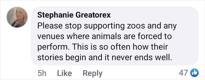 Comment expressing concern over zoos and animal performances; related to baby gorilla rescue at Istanbul Airport, Turkey.